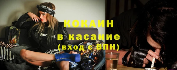 шишки Белокуриха