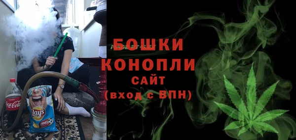 шишки Белокуриха
