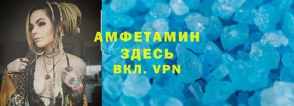 шишки Белокуриха