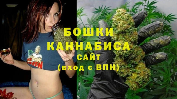 шишки Белокуриха