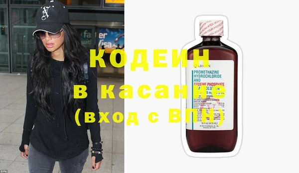 шишки Белокуриха