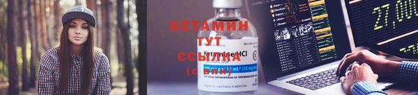 шишки Белокуриха