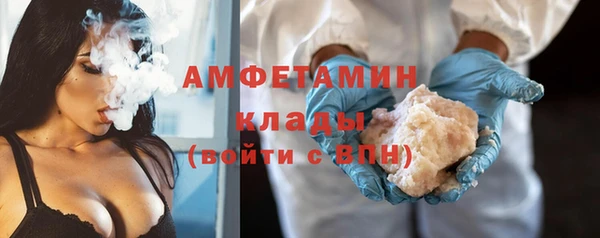 шишки Белокуриха