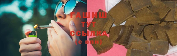 шишки Белокуриха