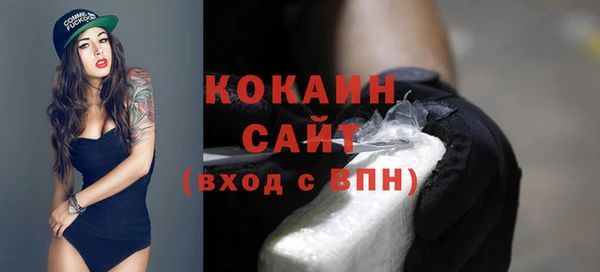 шишки Белокуриха
