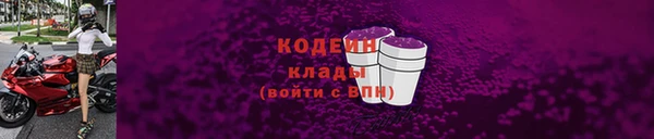 шишки Белокуриха