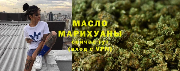 шишки Белокуриха