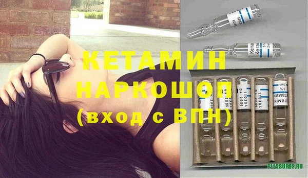 шишки Белокуриха